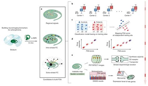 jinglei lv|biomarkers for neuroimaging.